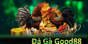 Khuyến Mãi Đá Gà GOOD88